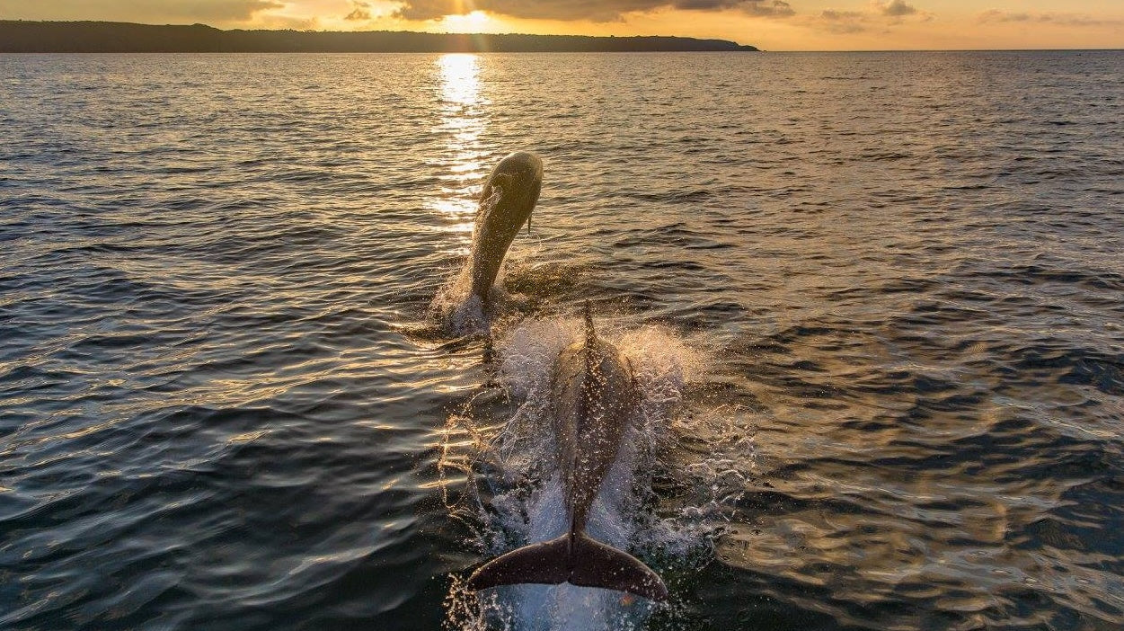 A Small Island with Big Ambitions