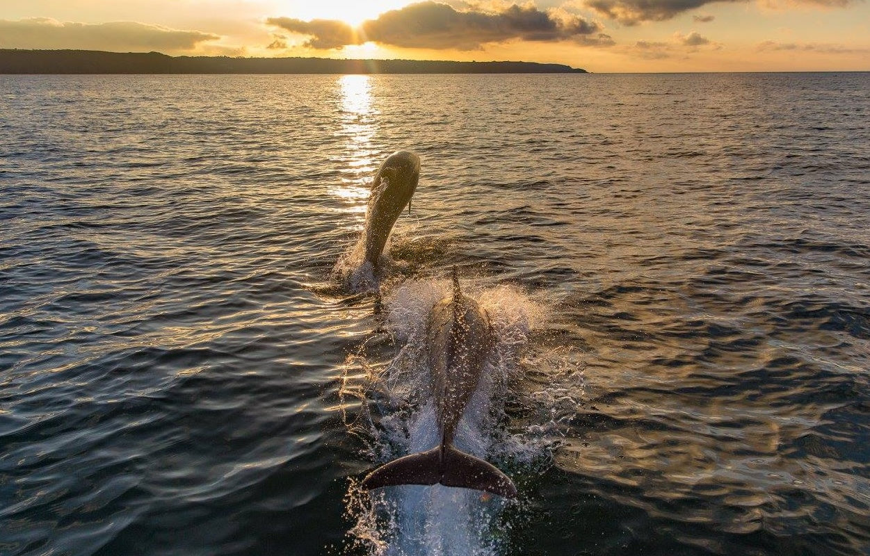 A Small Island with Big Ambitions